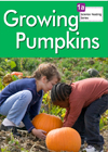 Growing Pumpkins